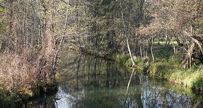 Lullingstone Country Park